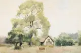 Cattle beside a barn by Hilda Carline, Watercolour, sold Jul 2025