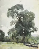 Study of trees by Hilda Carline, Watercolour, sold Jul 2025