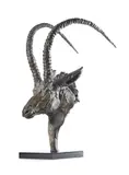 Head of a sable antelope by Mark Coreth, Bronze, sold Jul 2025