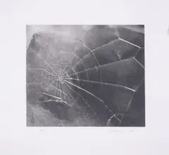 Untitled by Vija Celmins, Screenprint, sold Jul 2025