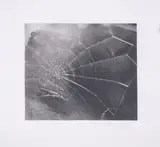 Untitled by Vija Celmins, Screenprint, sold Jul 2025