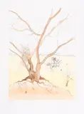 Untitled by Salvador Dalí, Engraving with drypoint and pochoir in colours, sold Jul 2025