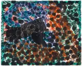 Untitled by Howard Hodgkin, print (other), sold Jul 2025