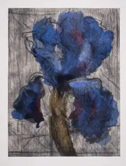 Untitled by William Kentridge, Etching with aquatint printed in colours with extensive hand-colouring in watercolour, sold Jul 2025