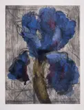 Untitled by William Kentridge, Etching with aquatint printed in colours with extensive hand-colouring in watercolour, sold Jul 2025