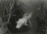 Portfolio Collection of 10 Photos by Jock Sturges, gelatin silver prints, sold Dec 2018