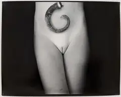 Equivalent #2 Possum Tail by Sally Mann, 1987, silver gelatin print, sold Dec 2018