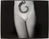 Equivalent #2 Possum Tail by Sally Mann, 1987, silver gelatin print, sold Dec 2018