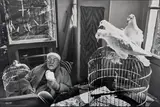 Henri Matisse in his home, Vence, France by Henri Cartier-Bresson, 1944, gelatin silver print, sold Dec 2018