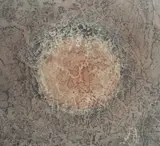 Untitled by Mark Tobey, 1961, lithograph, sold Dec 2018