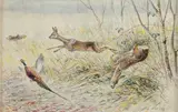 Chevreuil, faisan et lièvre by Édouard Paul Mérite, Aquarelle gouachée, sold Nov 2025