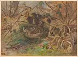 Bécasse cachée dans des feuillages by Édouard Paul Mérite, Gouache, sold Nov 2025