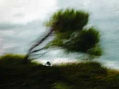 L'arbre à vent by Patrick Wack, 2014, Tirage photographique pigmentaire sur Dibond, sold Jun 2026