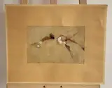 Sans titre by André Stempfel, Aquarelle et gouache, sold May 2026