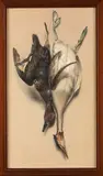 Trophée de sarcelle et grèbe huppé by André Wilquin, Aquarelle sur papier signée en bas à droite, sold May 2026