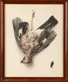 Trophée de geai by André Wilquin, Aquarelle sur papier signée en bas à droite, sold May 2026