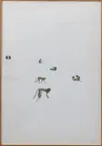 Les singes by Gilles Aillaud, 1977, Aquarelle et crayon Signé et daté, sold Jan 2026