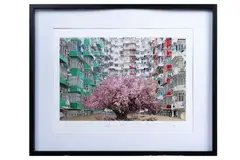 Le cerisier by Cornel Bârsan, Photographie en couleurs signé en bas à gauche H_28,5 cm L_38 cm, sold Feb 2025