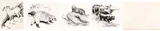 Five Works: Big Horn Sheep, Female (#0175), Badger (#0152), Sea Otter (#0149), Skunk (#0153), Untitled Sketch (#0744) by Clarence Ingwall Tillenius, ink and pencil on paper, sold Mar 2026