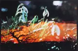 Blumen by Peter Fischli und David Weiss, 1998, Farboffset auf Papier, sold Jul 2020