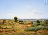 Champs près de Fresne en Haute-Marne by Jan Monchablon, Huile sur toile, sold Jun 2025