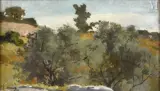 Paysage de Kabylie by Léon Cauvy, Huile sur toile marouflée sur carton, sold Dec 2024
