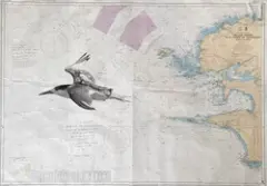 Sur le dos des oiseaux by Fabien Mérelle, 2024, Encre, crayon, sur carte marine, de l'Ile Vierge à la Pointe de Penmarc'h, SHOM, sold Dec 2024