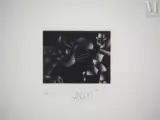 Le chat de Gulliver by Mario Avati, 1972, Gravure originale à la manière noire, sold Aug 2024