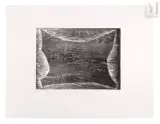 GB 10-1957 Chêne by Anna-Eva Bergman, Gravure sur bois, épreuve, sold Apr 2023