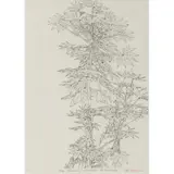 Feuillage - 1970 by Sam Szafran, Eau-forte en noir, annotée "essai" et signée au, sold Dec 2017