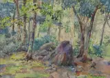 Forest Landscape by Hattie Saussy, Watercolor, offered Mar 2021