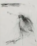 Birdseye by Mary Hartman, Charcoal on paper, offered Mar 2021
