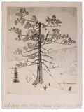 Untitled by Henry Philip Staats, Etching. 1931, offered Feb 2022