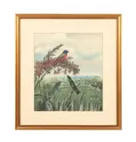 Untitled - Bunting Birds - c. 1940 by Edward Von Siebold Dingle, watercolor on paper board, sold Oct 2024