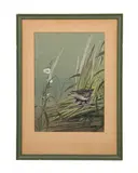 Untitled - Wren - circa 1970 by Edward Von Siebold Dingle, watercolor on paper board, sold Oct 2024