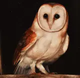 Untitled by Carl Andrew Whitfield, oil on board, sold Jul 2024