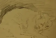 Untitled by John Cooke, pencil on paper, sold Jun 2024