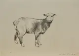 Untitled by John Cooke, pencil on paper, sold Jun 2024