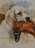 Clumber Spaniel, Xmas 1921 by Reuben Ward Binks, 1921, watercolour, sold May 2024