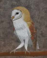 Untitled by Chris Chadwick, pastel, sold Apr 2024