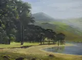 Buttermere Pines, Lake District by Eva Button, Oil on board, offered Aug 2026