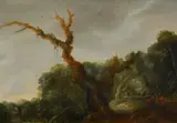 A wooded landscape by Jacob van Geel, Oil on panel, sold Jul 2025