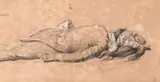 Study of a dead soldier from 'the revolt of cairo' by Anne-Louis Girodet, Charcoal heightened with pastel, sold Jul 2025