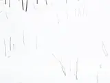 A part of speech by Martina Steckholzer, 2006, Acrylic on canvas, sold Jun 2025