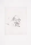 Untitled by Salvador Dalí, Drypoint, sold Jun 2025
