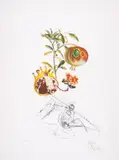 Untitled by Salvador Dalí, engraving and embossing, sold Jun 2025