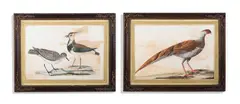 Untitled by Peter Paillou, Watercolour heightened with bodycolour, sold Oct 2026