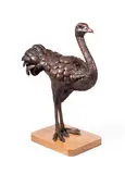 Ostrich after gessner by Sue White-oakes, sculpture, offered Oct 2026