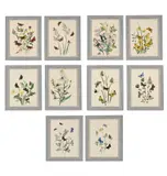Untitled by Henry Noel Humphreys, print (other), sold Aug 2026