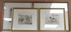 Springer Spaniel by Henry Wilkinson, pencil, sold Aug 2026
